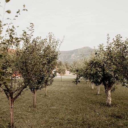 Vikendica Castanea Banja Zdrelo Villa Petrovac Bagian luar foto